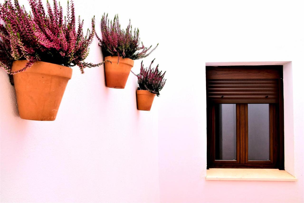 Apartamentos Turisticos Mamelon Херес-де-ла-Фронтера Экстерьер фото